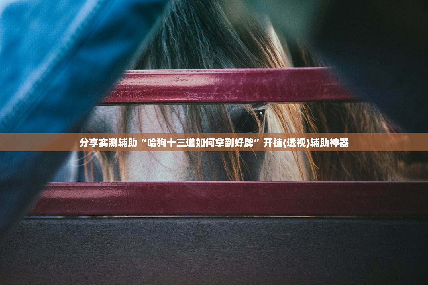 玩家必读“情怀麻将开挂器免费下载”开挂辅助脚本+详细开挂安装教程