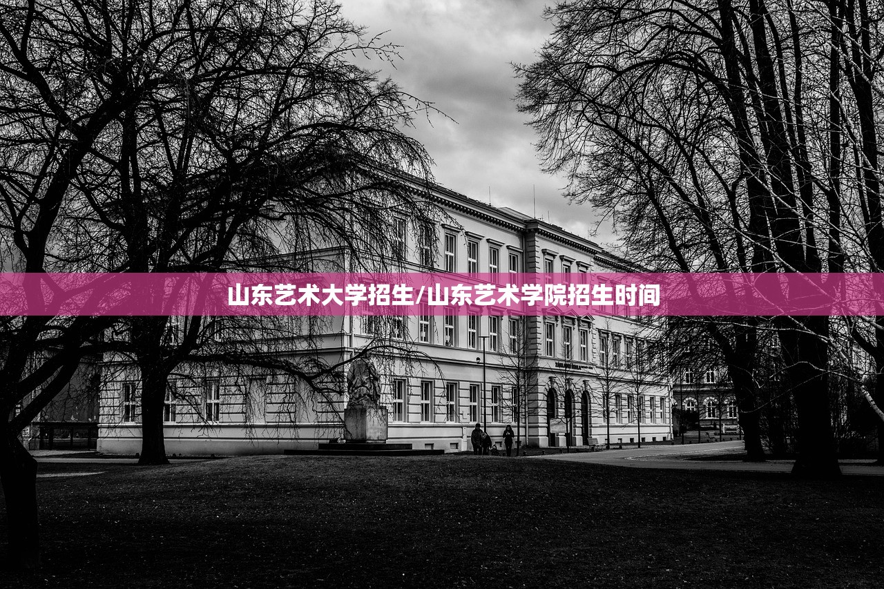 山东艺术大学招生/山东艺术学院招生时间