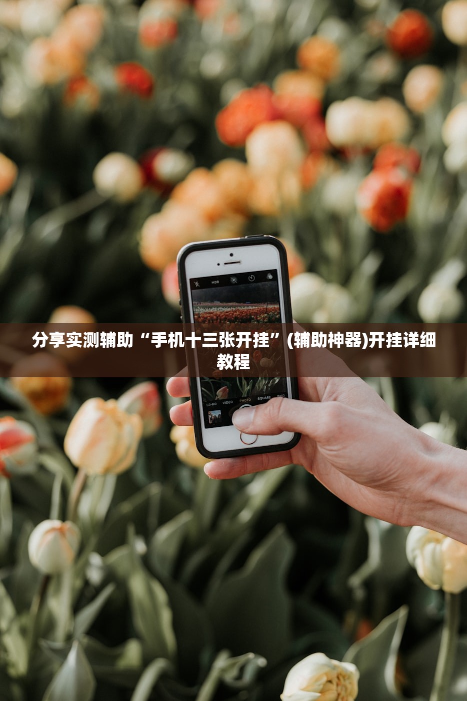 分享实测辅助“手机十三张开挂	”(辅助神器)开挂详细教程