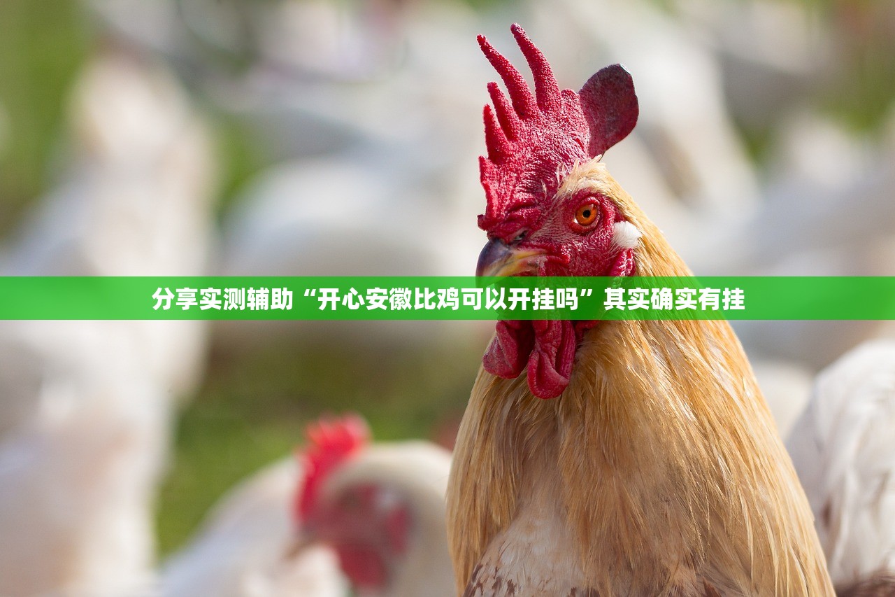 一键必胜“心悦填大坑破解器”开挂(透视)最新辅助详细