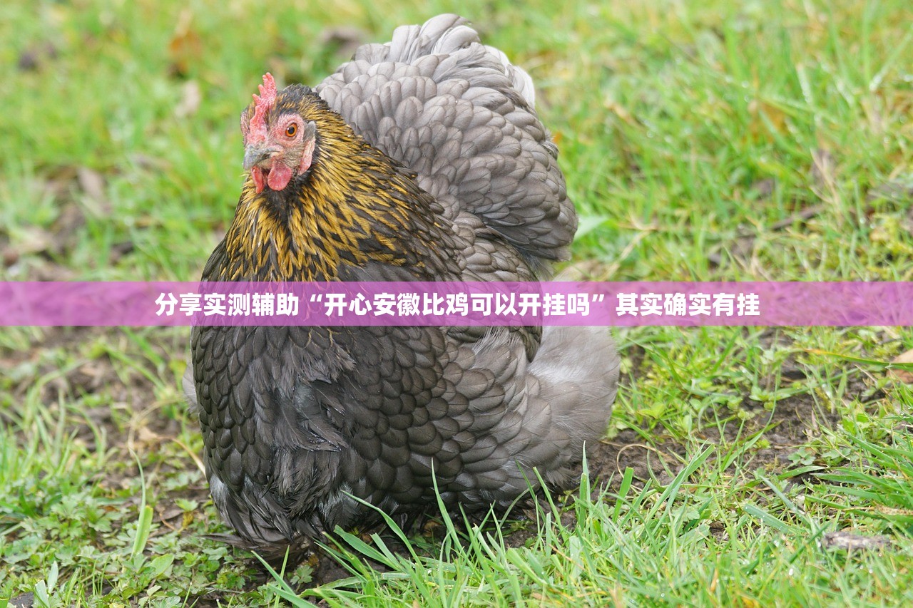 分享实测辅助“开心安徽比鸡可以开挂吗”其实确实有挂