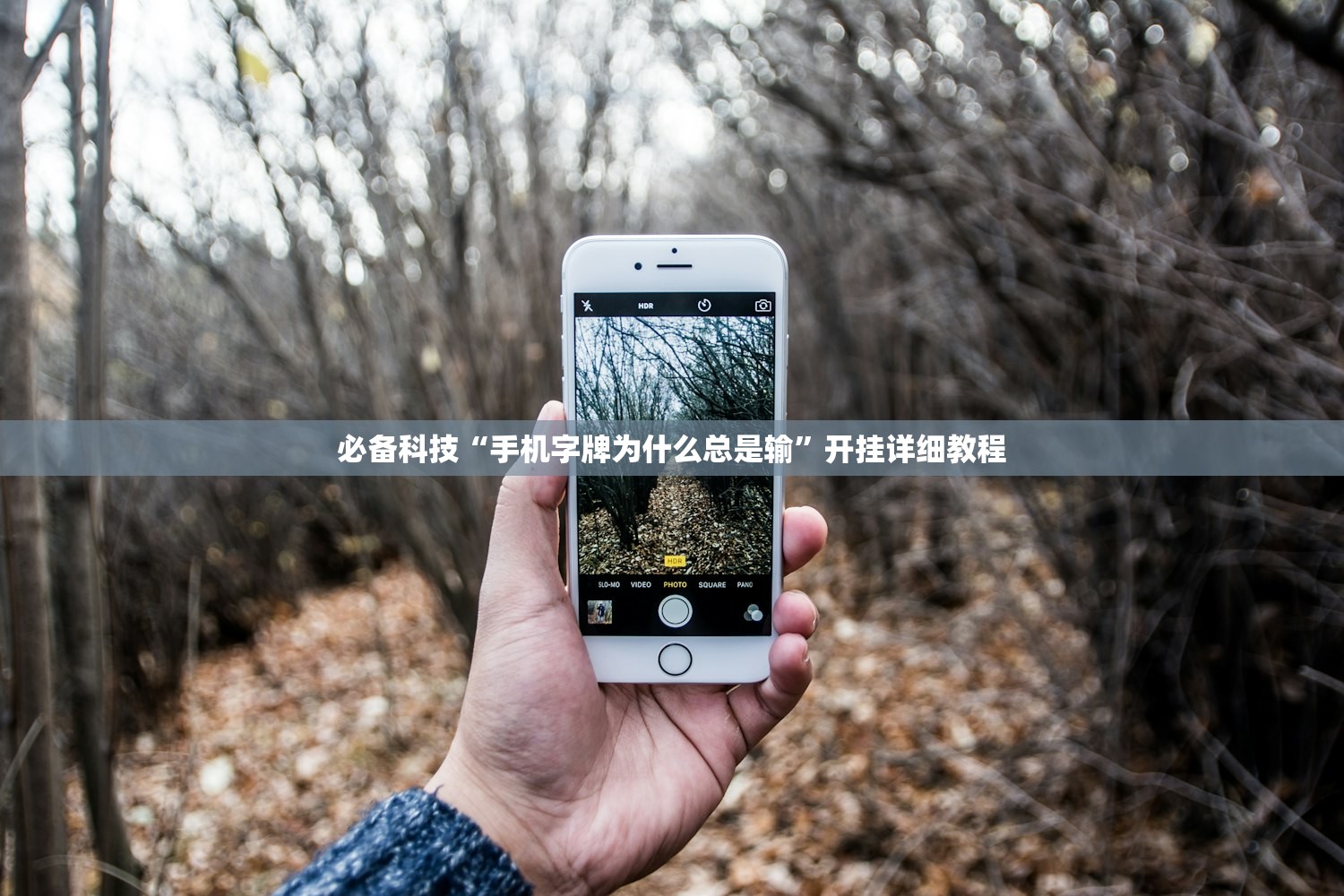 必备科技“手机字牌为什么总是输”开挂详细教程