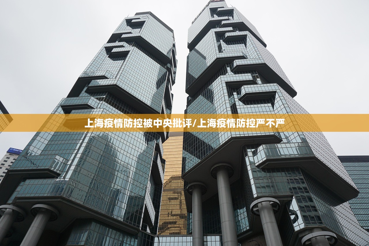 上海疫情防控被中央批评/上海疫情防控严不严