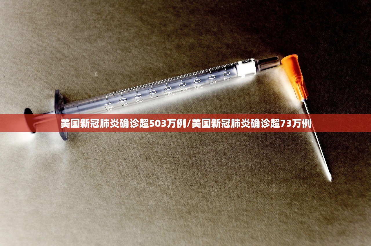 美国新冠肺炎确诊超503万例/美国新冠肺炎确诊超73万例