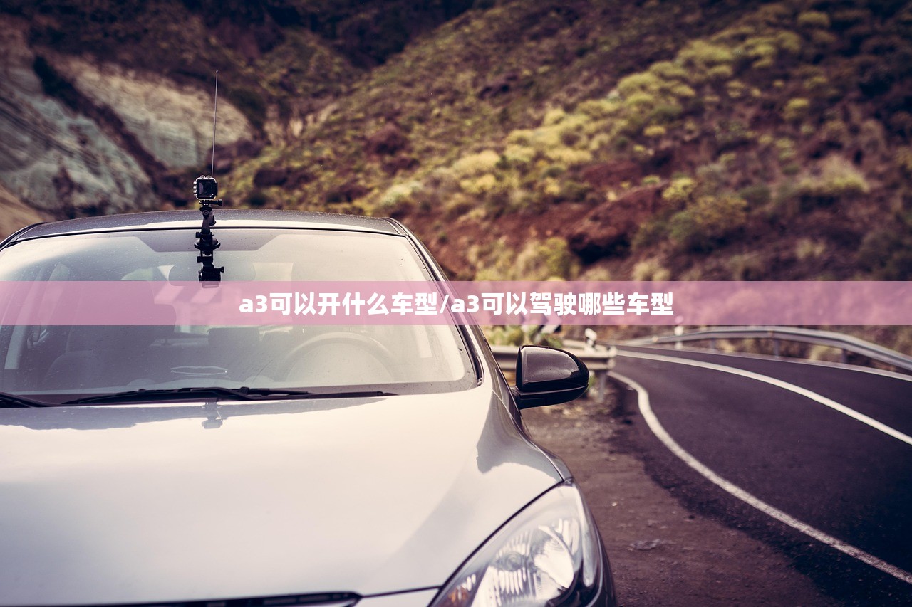 a3可以开什么车型/a3可以驾驶哪些车型
