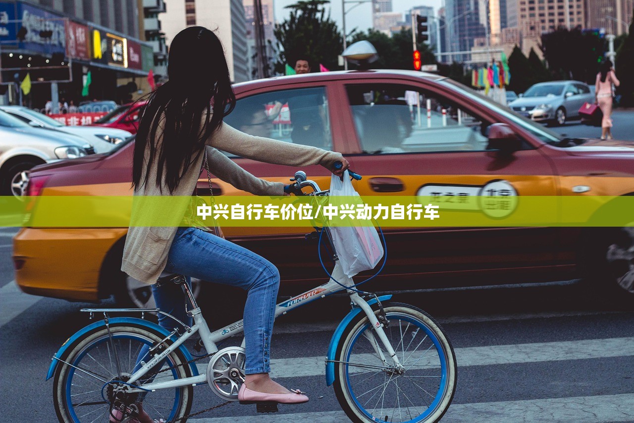 中兴自行车价位/中兴动力自行车