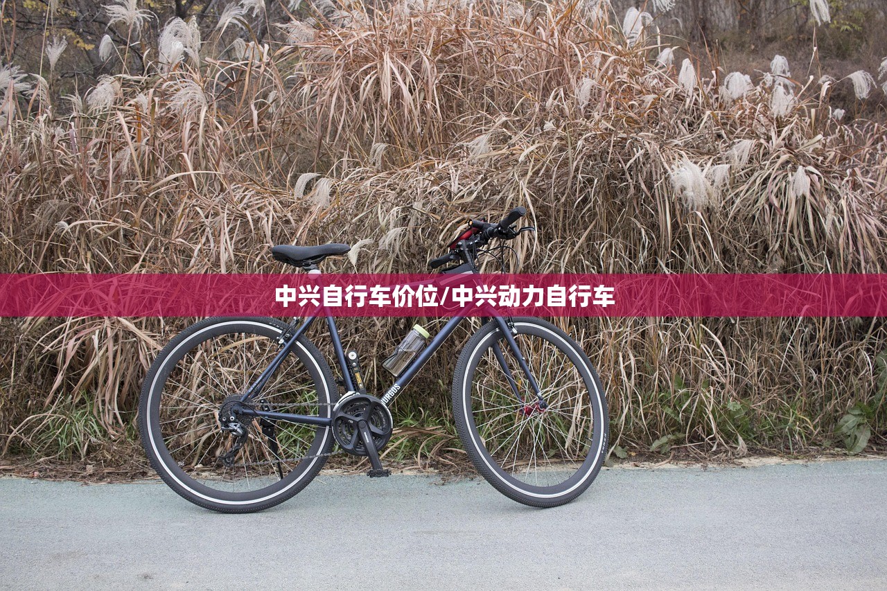 中兴自行车价位/中兴动力自行车