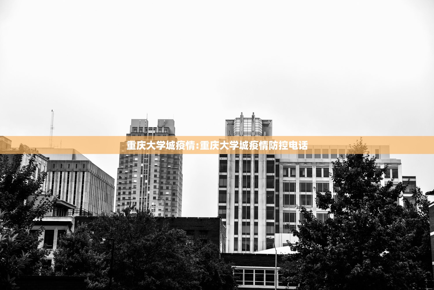 重庆大学城疫情:重庆大学城疫情防控电话