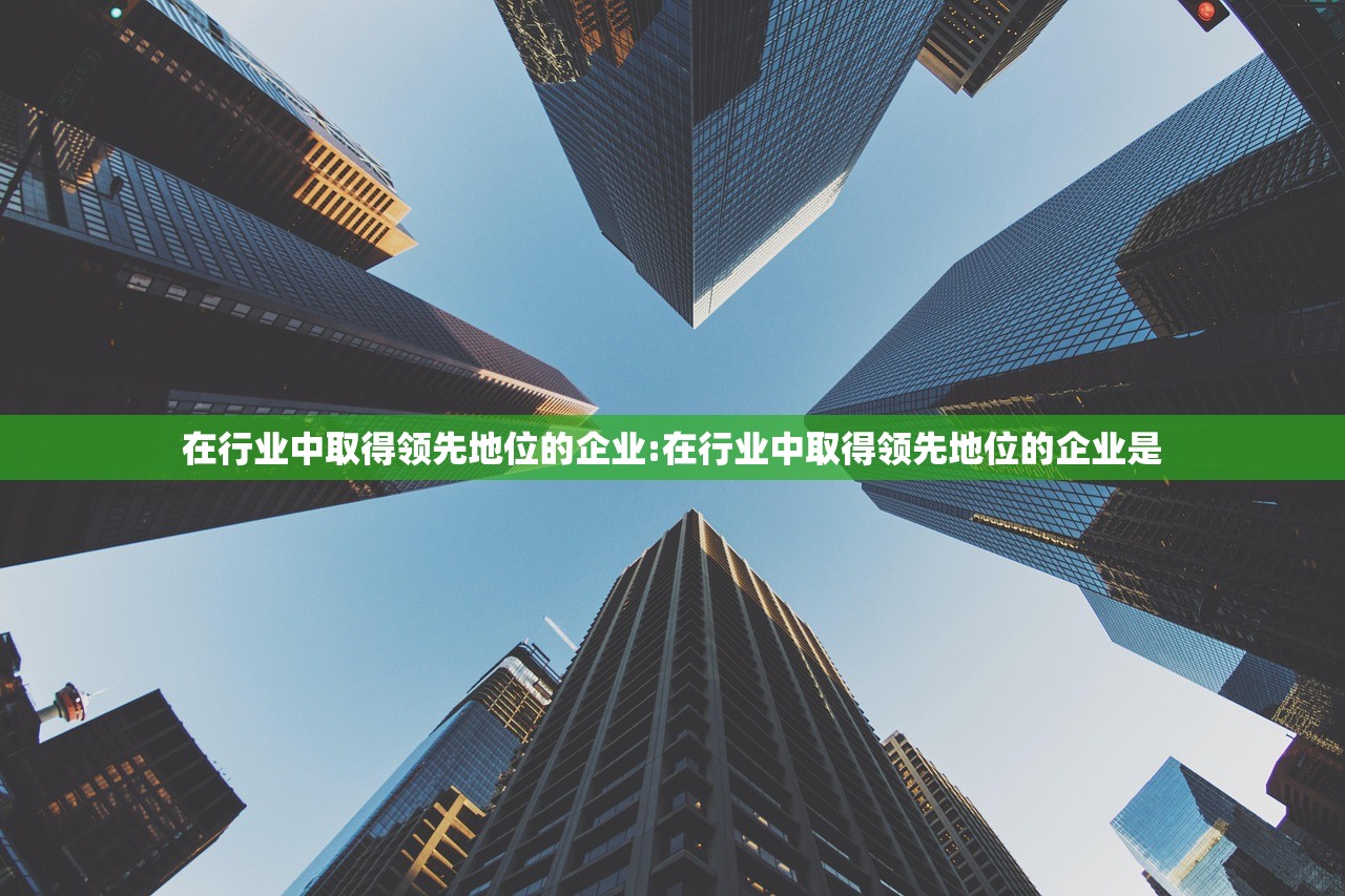 在行业中取得领先地位的企业:在行业中取得领先地位的企业是