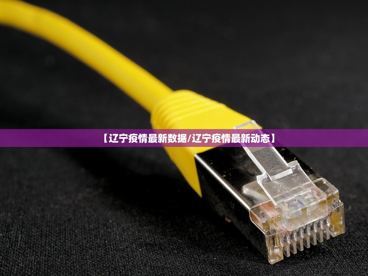 【辽宁疫情最新数据/辽宁疫情最新动态】
