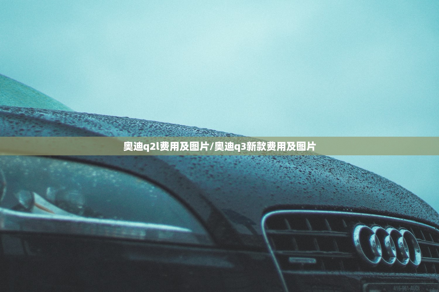 奥迪q2l费用及图片/奥迪q3新款费用及图片