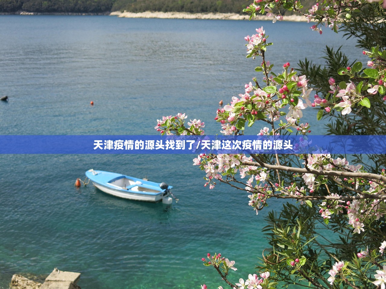 天津疫情的源头找到了/天津这次疫情的源头