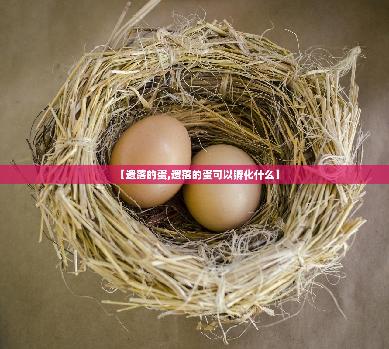 教程更新!：手机三公到底有没有挂”开挂详细教程