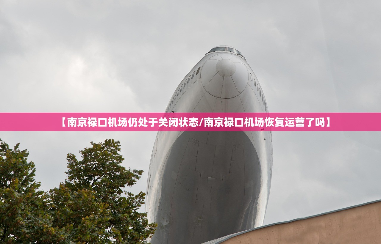 【南京禄口机场仍处于关闭状态/南京禄口机场恢复运营了吗】