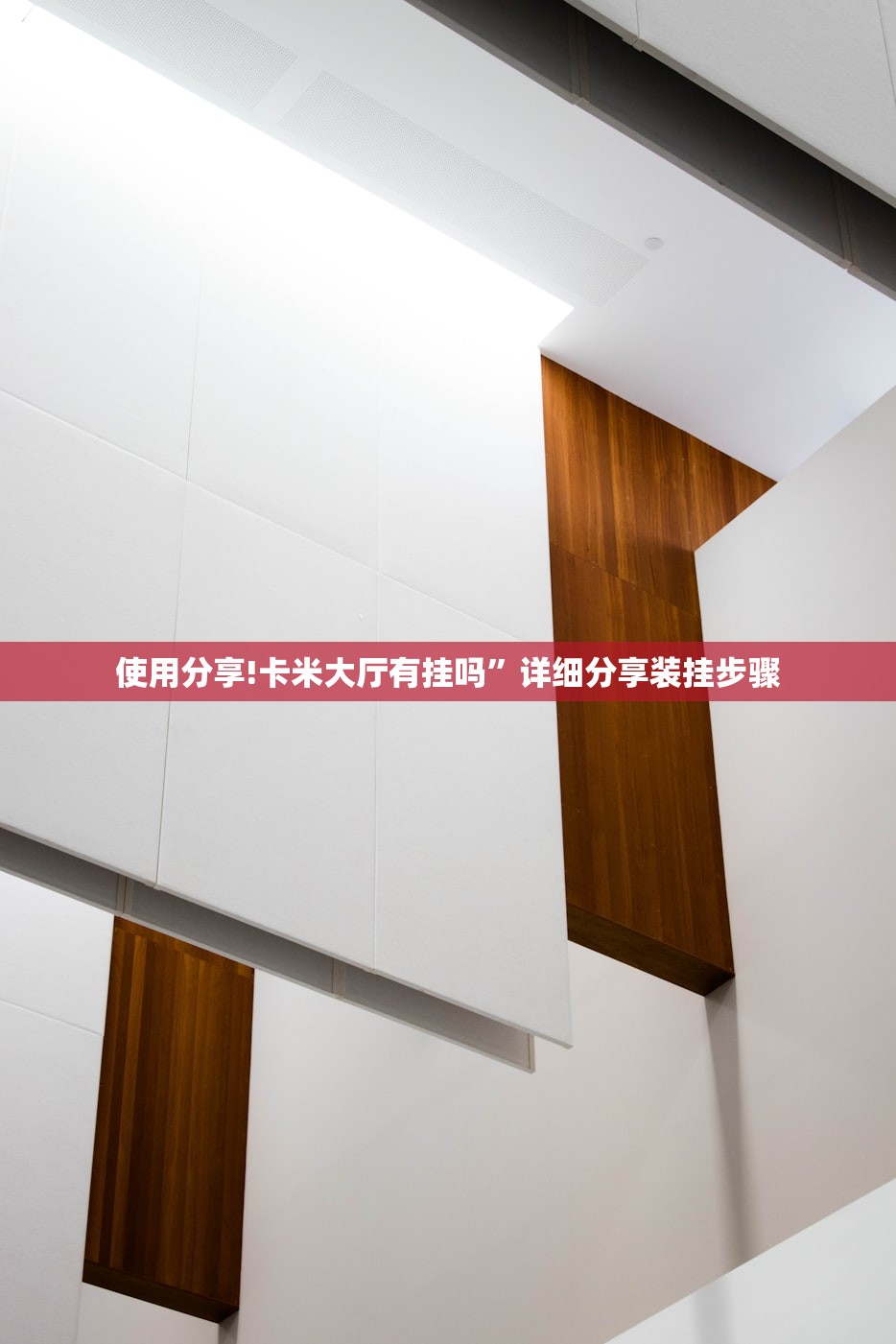 使用分享!卡米大厅有挂吗”详细分享装挂步骤