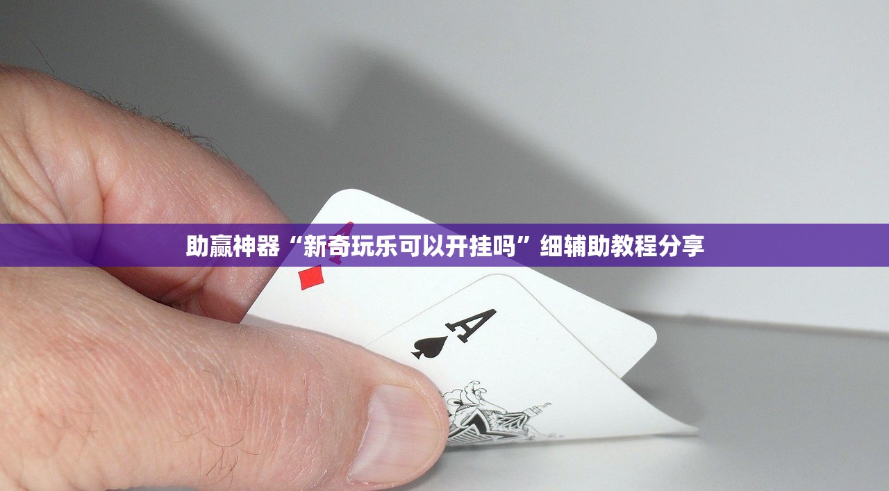 助赢神器“新奇玩乐可以开挂吗”细辅助教程分享