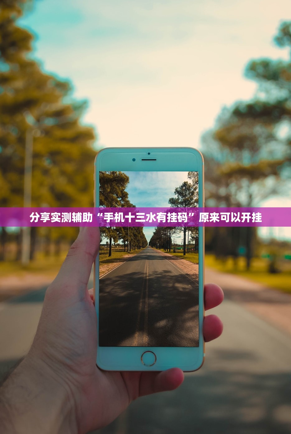 分享实测辅助“手机十三水有挂码”原来可以开挂