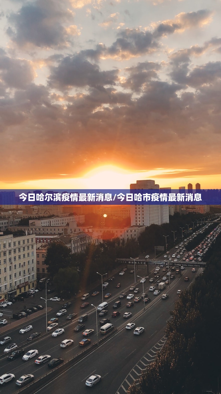 一键必胜“青鸟大厅开挂”开挂(透视)辅助神器