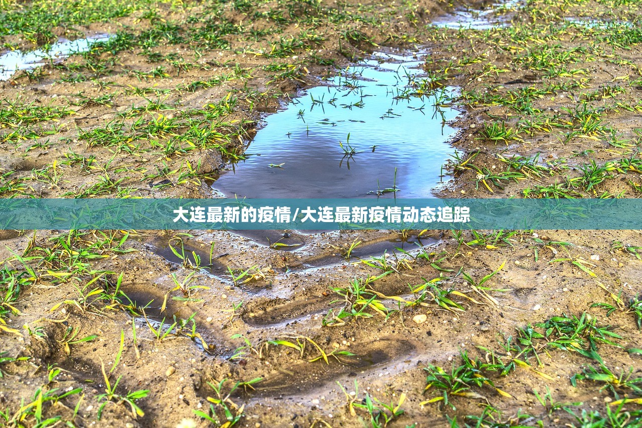 大连最新的疫情/大连最新疫情动态追踪