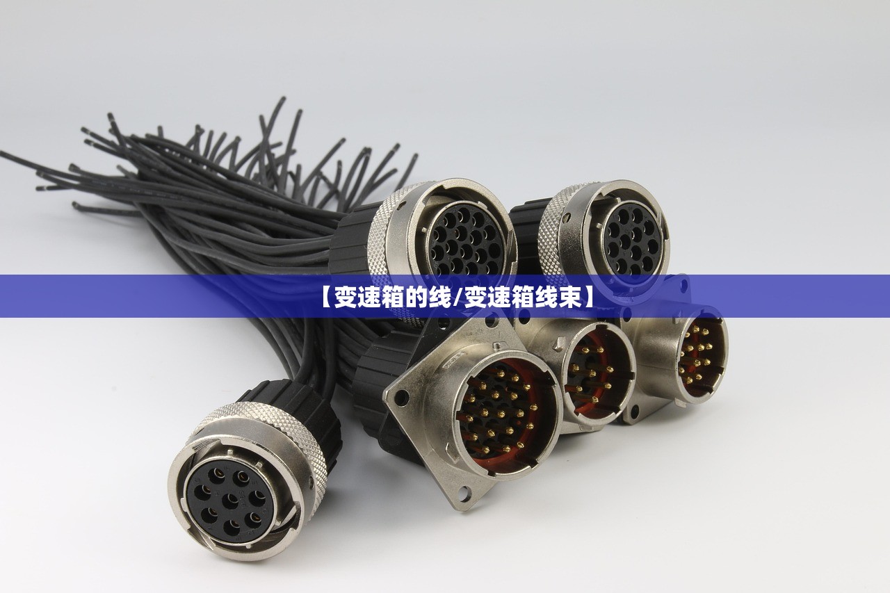 【变速箱的线/变速箱线束】