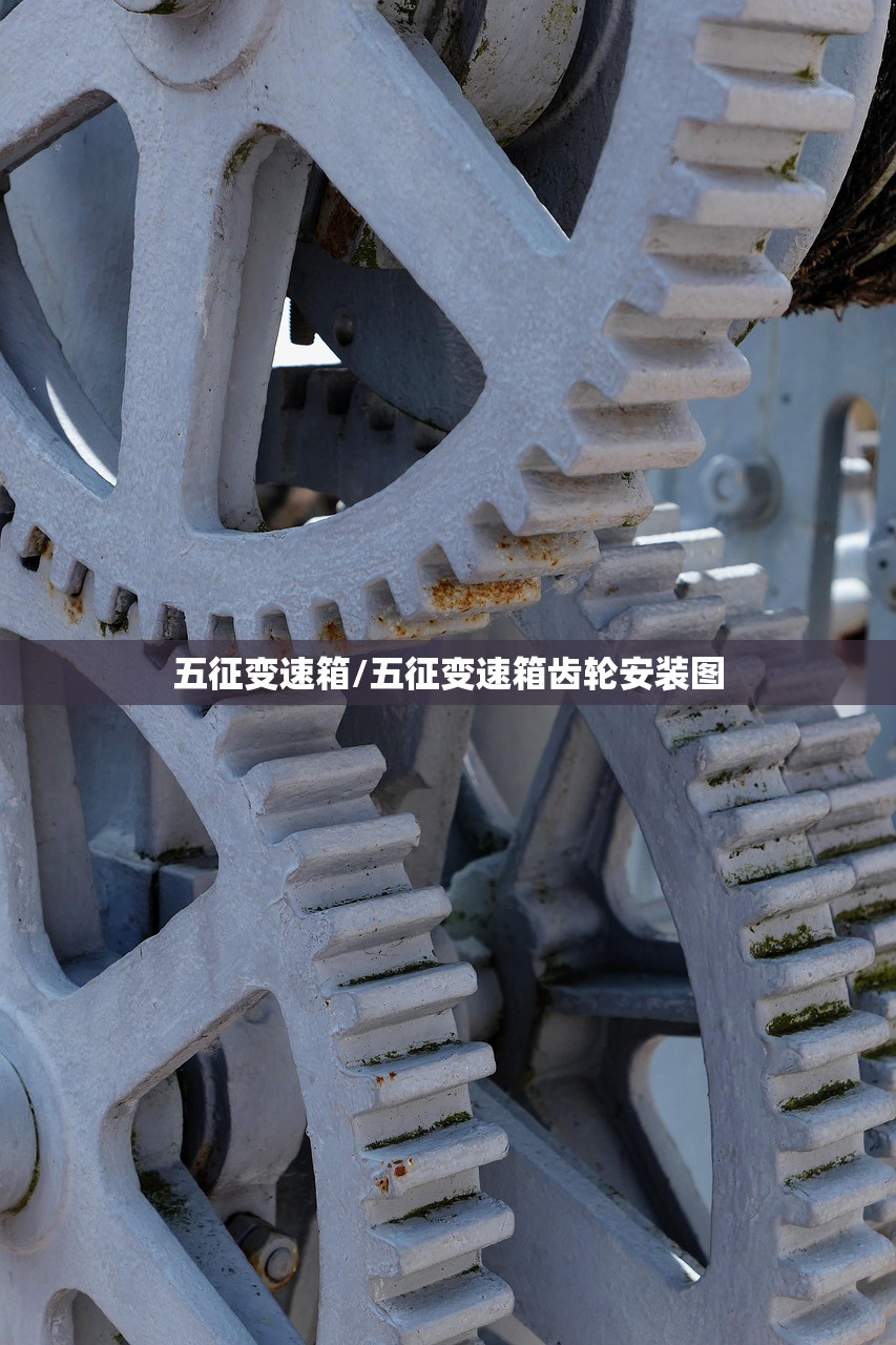 五征变速箱/五征变速箱齿轮安装图