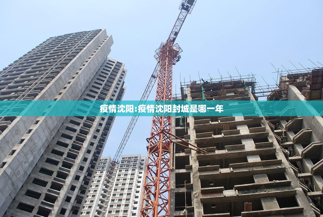 疫情沈阳:疫情沈阳封城是哪一年