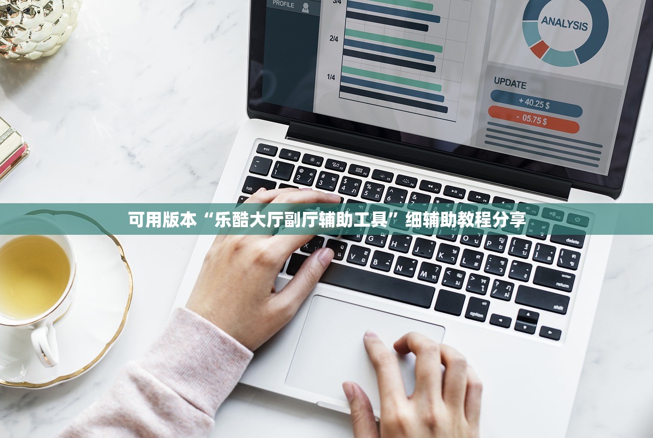可用版本“乐酷大厅副厅辅助工具”细辅助教程分享
