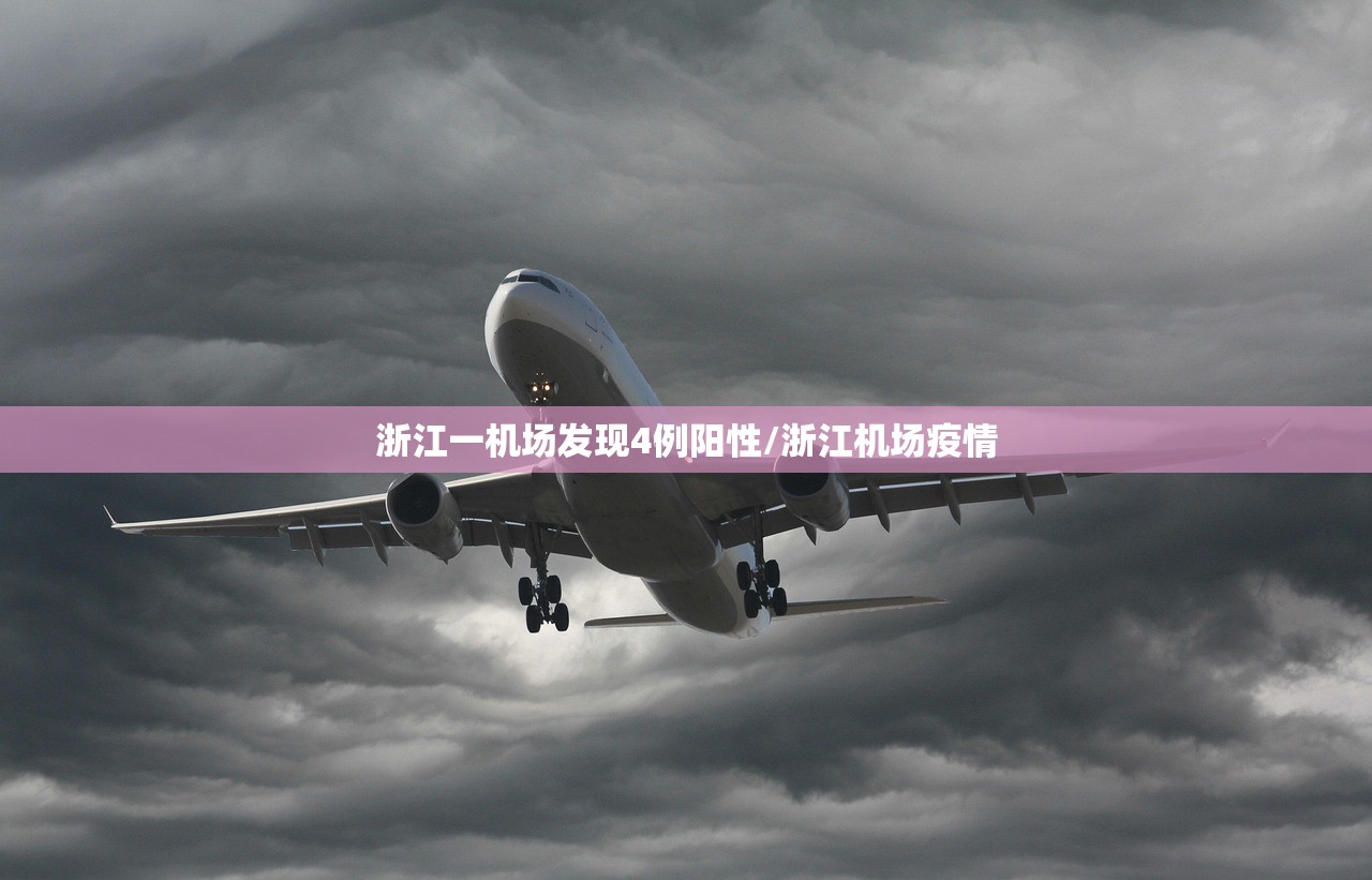 浙江一机场发现4例阳性/浙江机场疫情