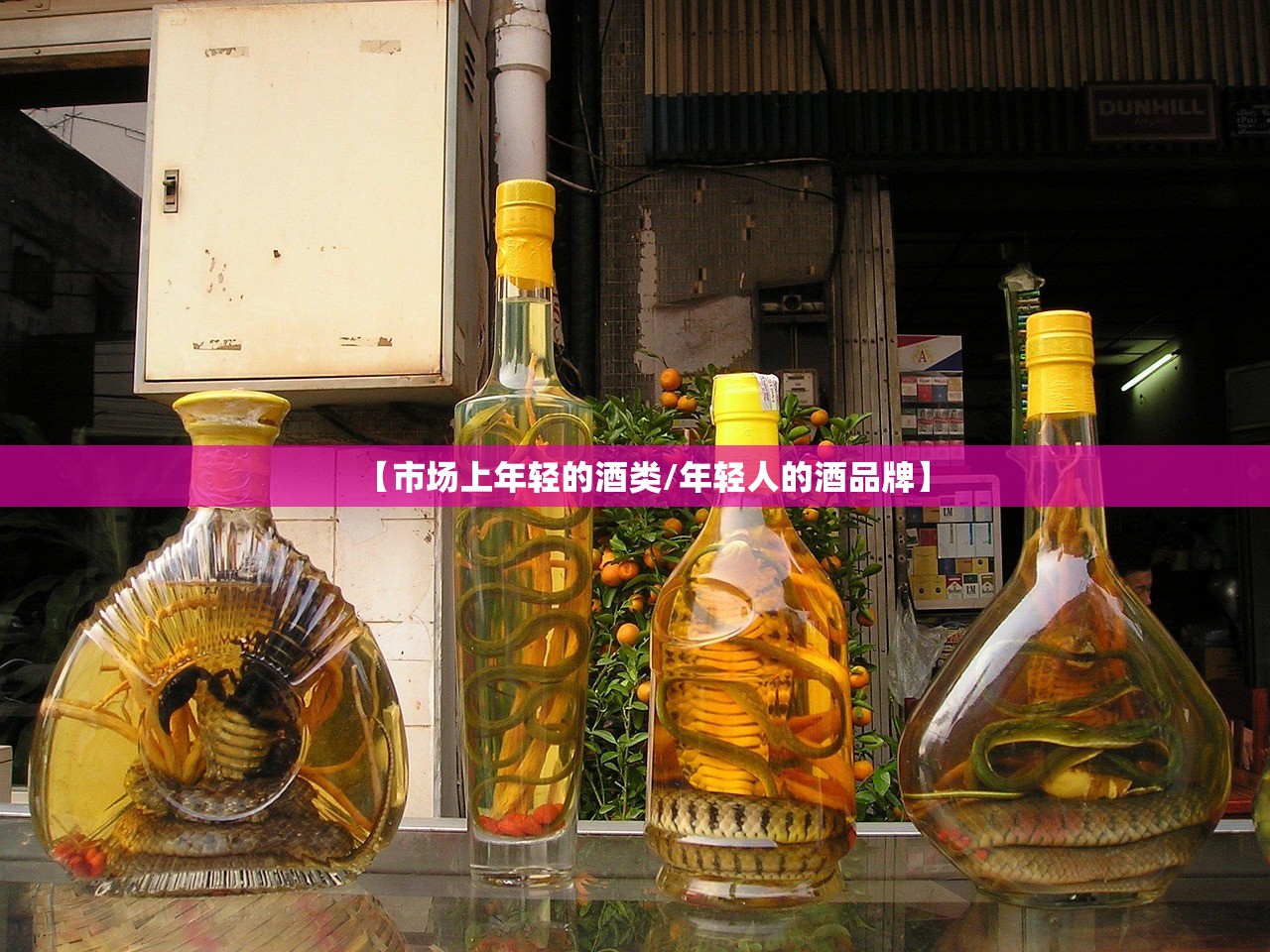 【市场上年轻的酒类/年轻人的酒品牌】
