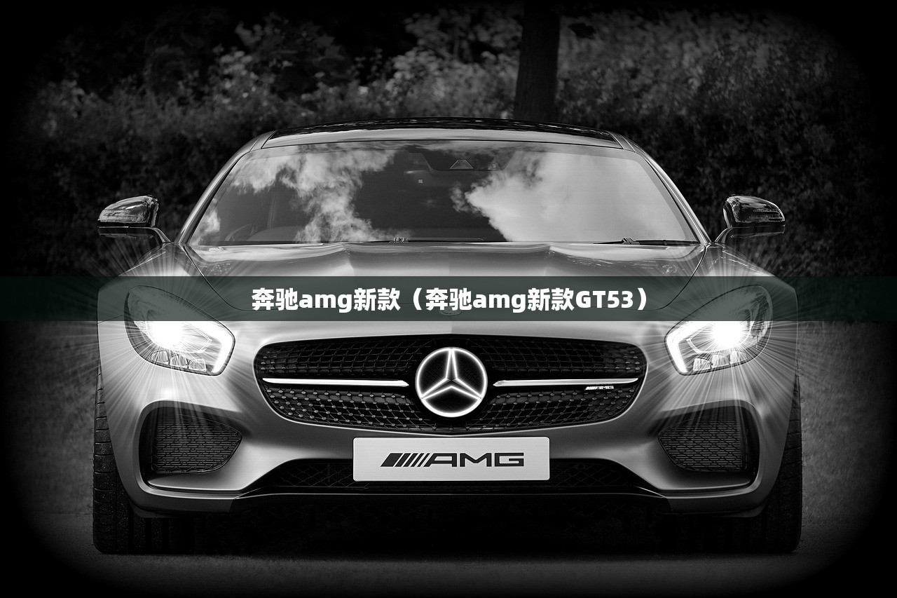 奔驰amg新款（奔驰amg新款GT53）