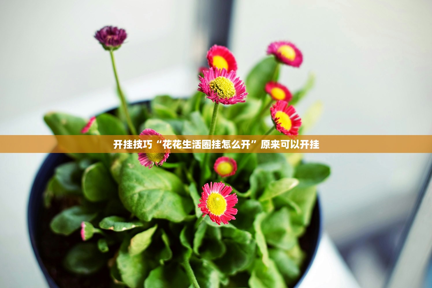 人工洗车设备费用大全/人工洗车步骤及操作规范