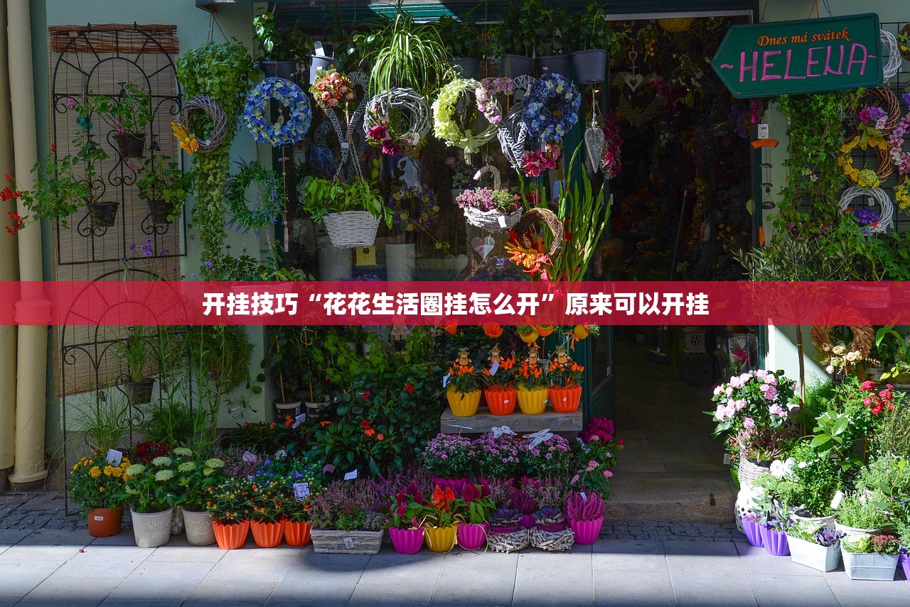 开挂技巧“花花生活圈挂怎么开”原来可以开挂
