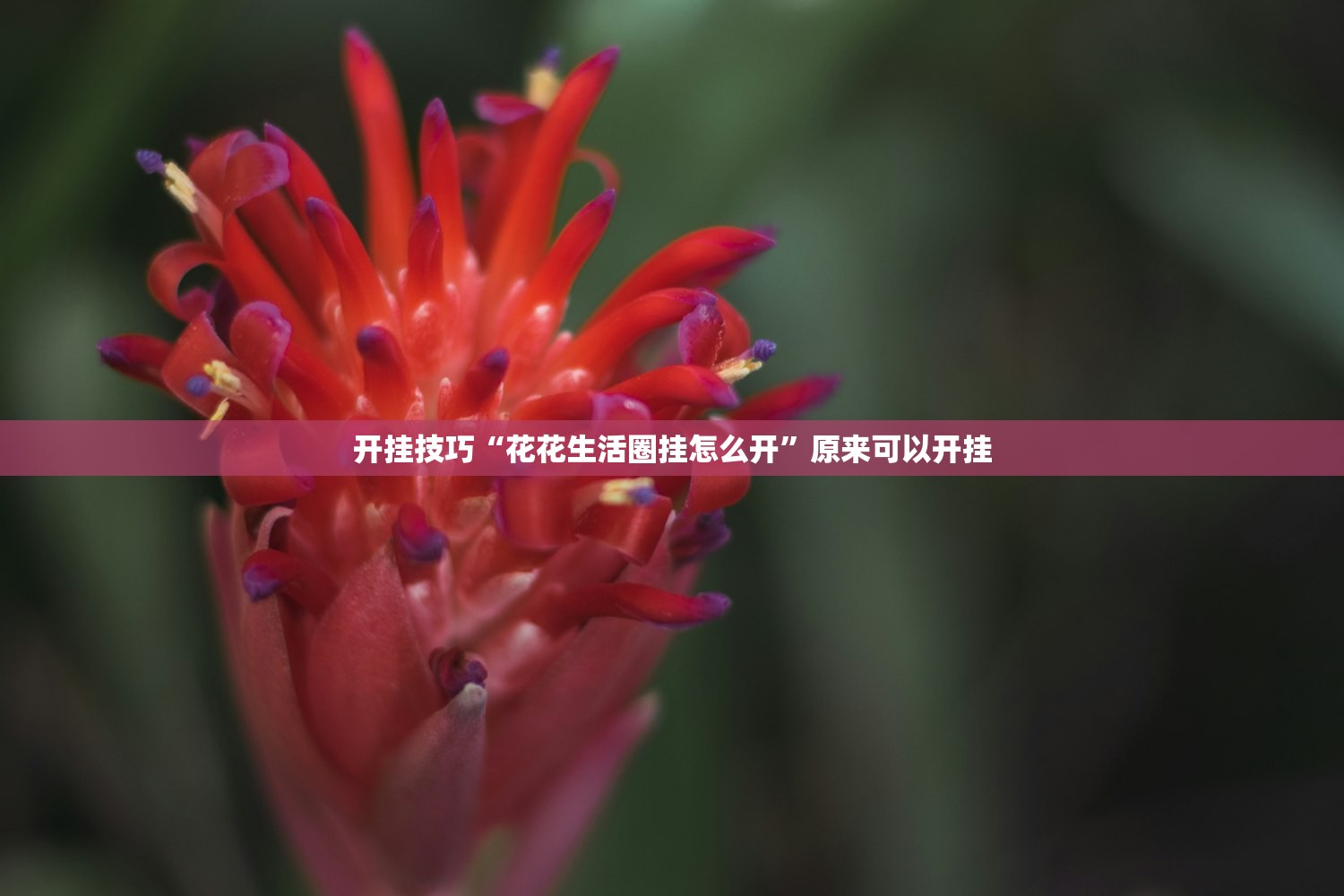 开挂技巧“花花生活圈挂怎么开	”原来可以开挂