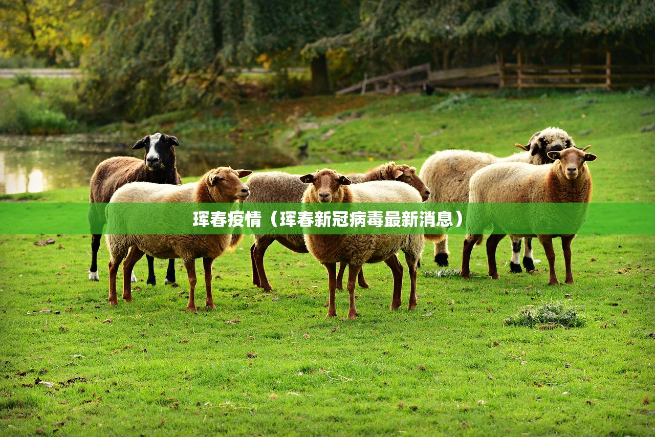 珲春疫情（珲春新冠病毒最新消息）