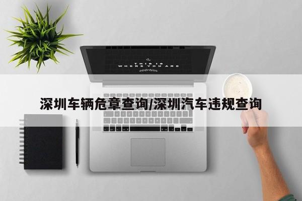 深圳车辆危章查询/深圳汽车违规查询