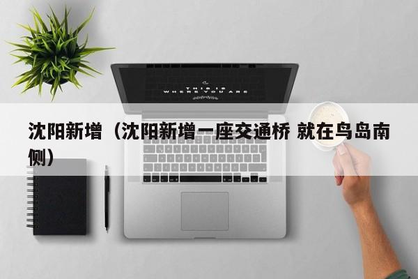 沈阳新增(沈阳新增一座交通桥 就在鸟岛南侧)