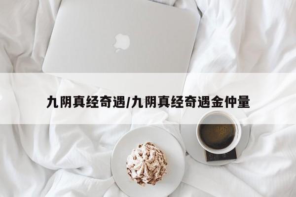 九阴真经奇遇/九阴真经奇遇金仲量