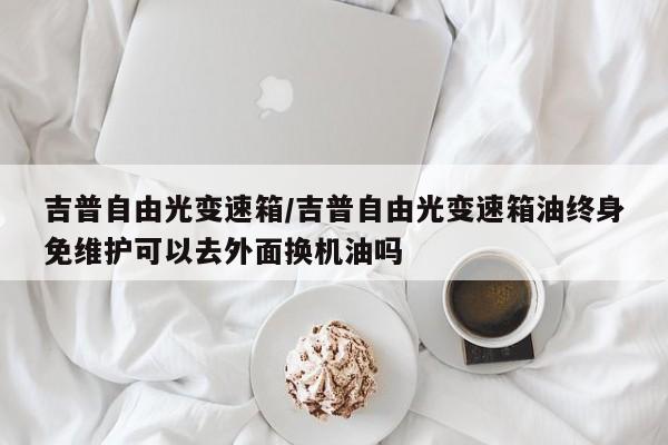 简欧风格样板房（简欧样板间实景照片）